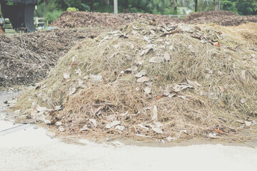 organic compost heap. fertilizer production for soil cultivation
