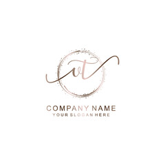 VT Initial handwriting logo template vector

