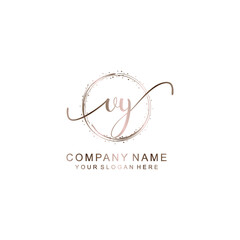 VY Initial handwriting logo template vector