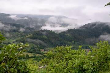 Fototapeta na wymiar Fog and rain in mountain
