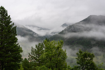 Fog and rain in mountain