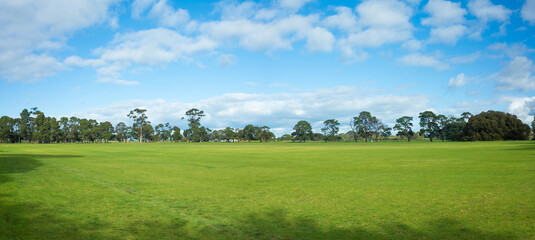 Panoramic view of a large grass field with a well-tended neat lawn against the blue sky. Background texture of grass and trees in a park with vast vacant open space on a sunny day. Copy space for text - Powered by Adobe