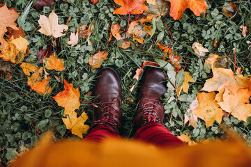 Top view of feet in brown leather shoes standing on autumn leaves. Walking in nature.