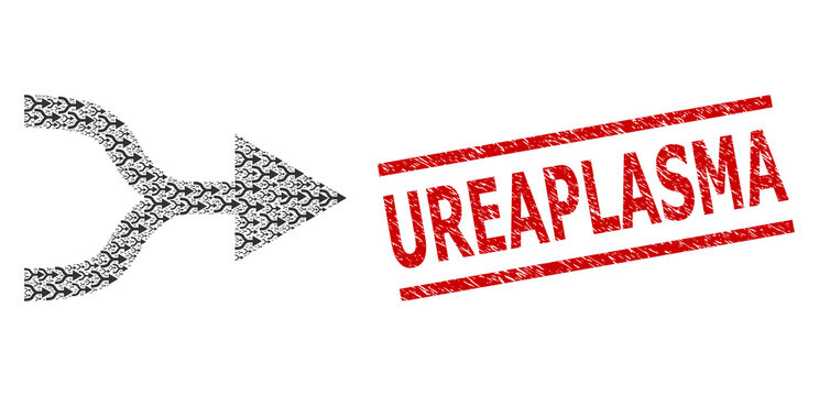 Fractal mosaic combine arrow right and Ureaplasma rubber stamp imitation. Vector mosaic is made of scattered combine arrow right items. Stamp seal includes Ureaplasma text between parallel lines.