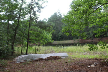 abandoned boat in the forest by lake