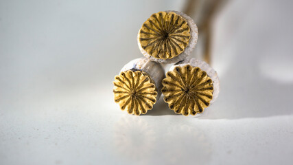 Three dry boxes of poppy seeds on a light background.Close-up of a poppy composition.A beautiful, textured look of dry poppy.Poppy seed boxes.
