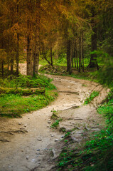 Bucegi mountains - Romania.