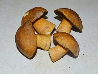mushrooms on a wooden table