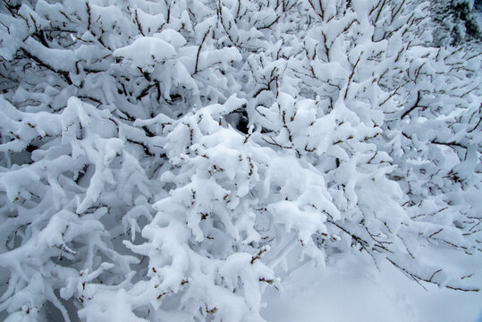 Hamar Bilder Durchsuchen 1,285 Archivfotos, und Videos