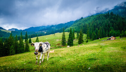 Fototapeta premium Mountains scenery in Romania.