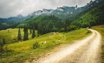 Fototapeta na wymiar Mountains scenery in Romania.