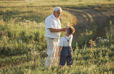 happy grandfather and grandson walking at summer meadow.  Cute boy gives flowers his old grandpa