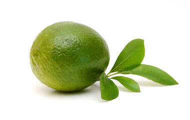 Fototapeta na wymiar Citrus lime fruit isolated on white background cutout 
