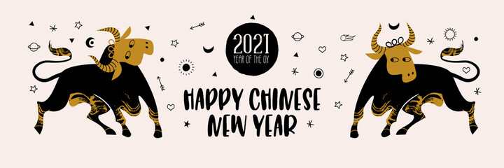 Chinese new year 2021 year of the ox, vector illustration, greeting card, banner.