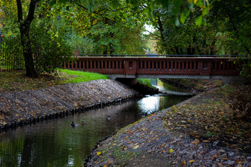 canal with water brick bridge in the park