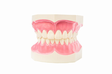 Obraz premium close up dentistry instruments and dental hygienist checkup concept with teeth model oral healthcare on white background