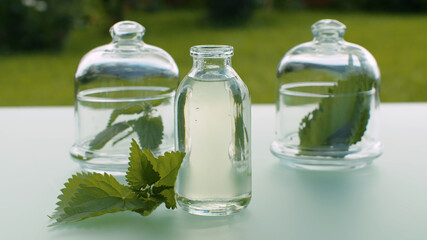 Nettle leaves and base oil