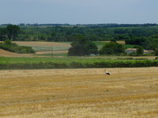 Obraz premium de ROYAN à VITREZAY à vélo