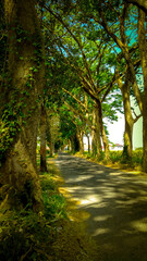 The Long road