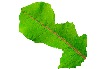 Map of Paraguay in green leaf texture on a white isolated background. Ecology, climate concept, 3d illustration