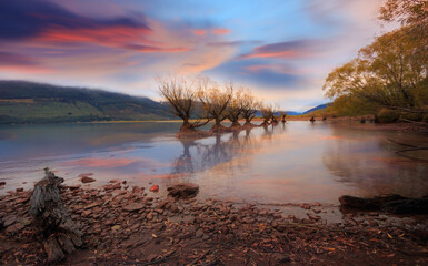 Autumn landscape and trees in lake lagoon in Glenorchy, New Zealand
