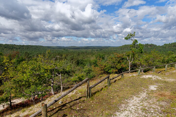 Fototapeta na wymiar View of the Chanfroy plain in Fontainebleau forest