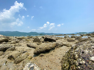 rocky coast of the sea