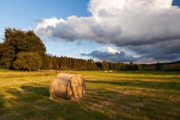 Hay bales at a farm field 