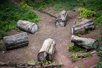 Obraz premium old axe in the forest