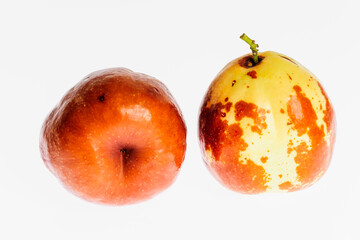 dos azufaifos, Ziziphus zizyphus . Mallorca. Islas Baleares. Spain.