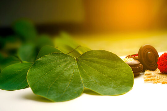 Indian festival dussehra, green apta leaf and rice