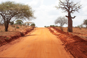 Fototapeta premium red road of loam to africa