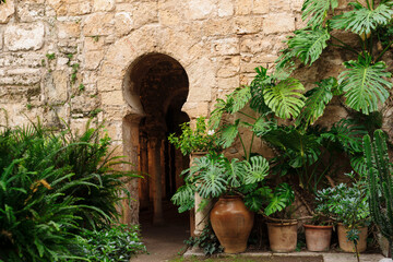 Fototapeta na wymiar baños árabes, - Banys Àrabs - portal con arco de herradura , siglo X, Palma, Mallorca, islas baleares, españa, europa
