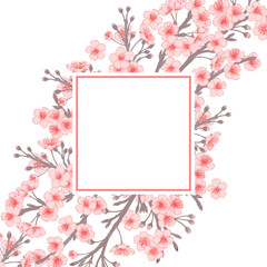 Vector sakura trees blomming collections frames. Set of cherry flowers