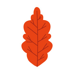 autumn season leaf plant icon