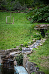stream in the forest