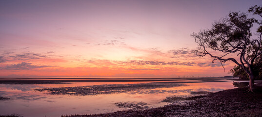 Obraz na płótnie Canvas Golden Panoramic Seaside Sunrise with Mangroves
