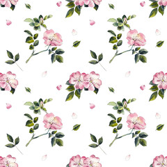 Flowers seamless. Pattern from pink dog rose. Wedding drawings. White background. Watercolor hand drawn illustration.