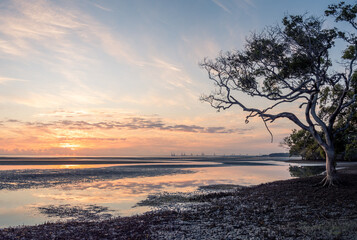 Fototapeta na wymiar Golden Seaside Sunrise with Mangroves
