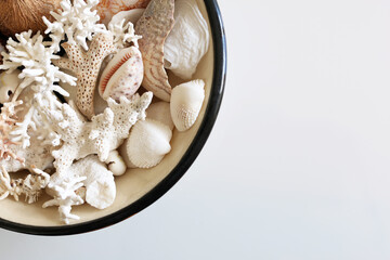 Meraviglie della natura: piccola collezione di conchiglie, semi e coralli provenienti da una spiaggia tropicale, su fondo bianco con spazio per testo