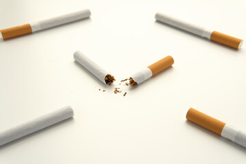 Broken cigarette in half with orange filter against the background of whole cigarettes. Isolated on white background. Smoking is harmful. Healthy lifestyle concept. Close-up square photo.