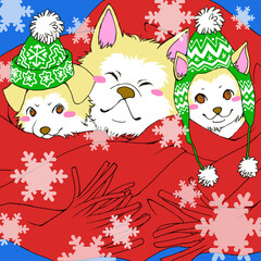 赤いマフラーにくるまれた犬の親子