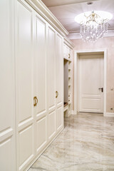 Classic wardrobe and interior door in contemporary bright hallway