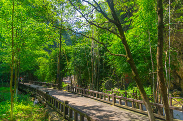 Fototapeta na wymiar Summer scenery of the Three Gorges Waterfall in Yichang, Hubei, China