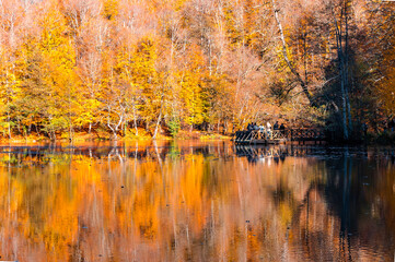Yedigoller or Seven Lakes National Park in Turkey