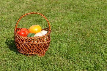 Harvest vegetables in a basket on green grass background with empty space.