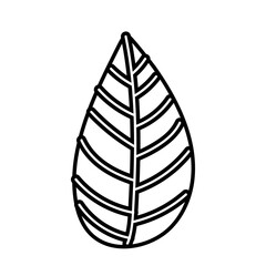 autumn season leaf plant line style icon