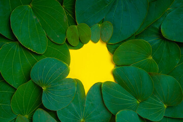Happy Dussehra greeting card , green apta leaf and rice, Indian festival dussehra