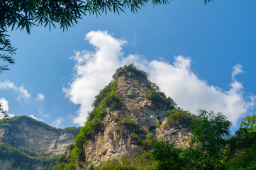 Summer scenery of the Three Gorges sea of bamboo in Yichang, Hubei, China