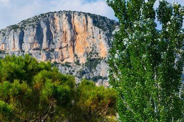 Fototapeta premium Gorges du Verdon Natural Park, Alpes Haute Provence, France, Europe